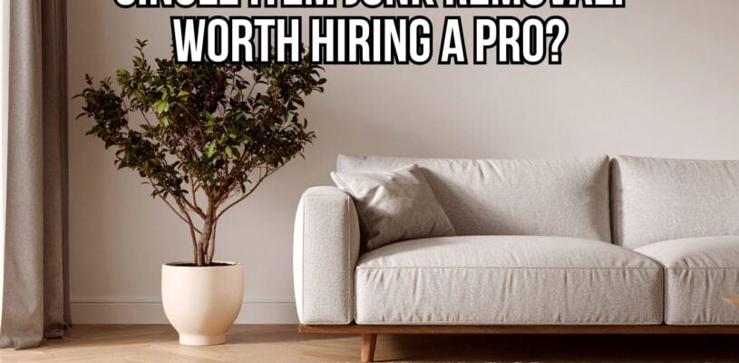 Modern living room with a white sofa and potted tree featuring the text, “Single Item Junk Removal: Worth Hiring a Pro?”